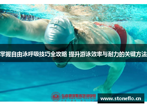 掌握自由泳呼吸技巧全攻略 提升游泳效率与耐力的关键方法