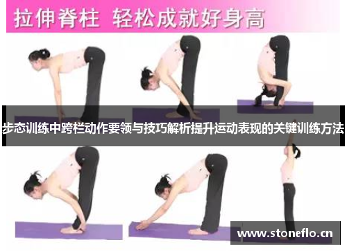 步态训练中跨栏动作要领与技巧解析提升运动表现的关键训练方法