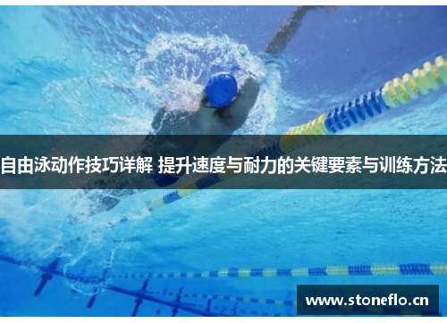 自由泳动作技巧详解 提升速度与耐力的关键要素与训练方法