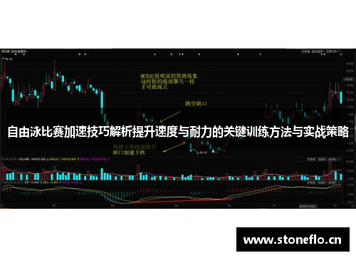 自由泳比赛加速技巧解析提升速度与耐力的关键训练方法与实战策略