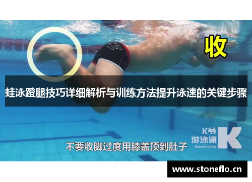 蛙泳蹬腿技巧详细解析与训练方法提升泳速的关键步骤