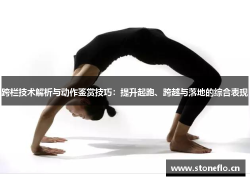 跨栏技术解析与动作鉴赏技巧：提升起跑、跨越与落地的综合表现
